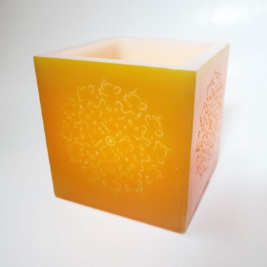 http://www.jaune-et-vert.net/shop/img/p/75-233-thickbox_default.jpg